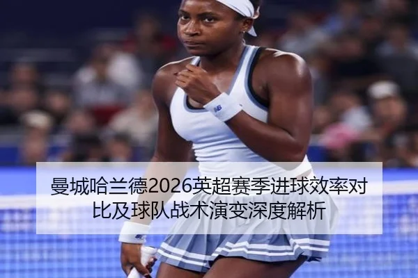 man-cheng-ha-lan-de-ying-chao-sai-ji-jin-qiu-xiao-lv-dui-bi-ji-qiu-dui-zhan-shu-yan-bian-shen-du-jie-xi-2-155.jpg
